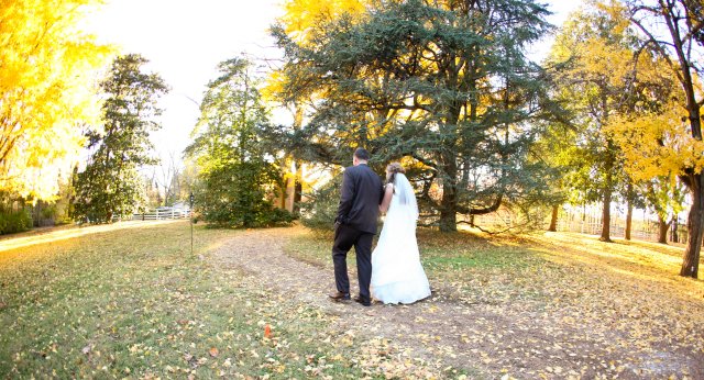 bride, groom, yellow, fall, wedding, nashville, travellers rest